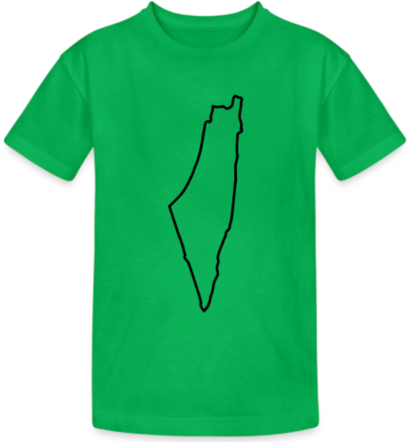 Tee shirt Palestine carte