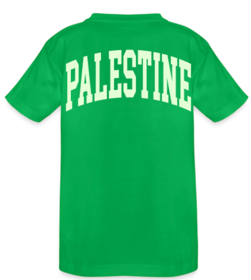 Tee shirt Palestine carte