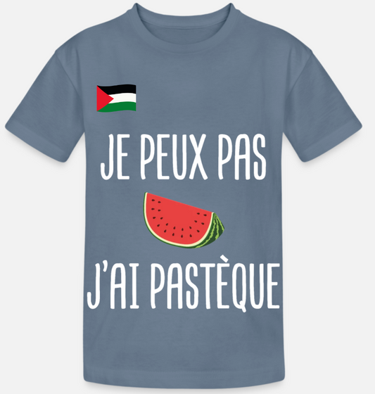 Tee shirt Palestine je peux pas, j'ai pastèque